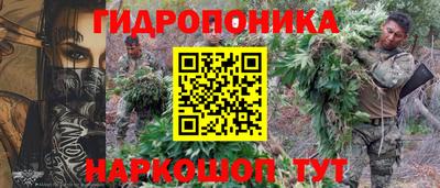 крисы Баксан
