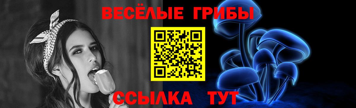 что такое   Вход с VPN  Дедовск  Галлюциногенные грибы Cubensis 